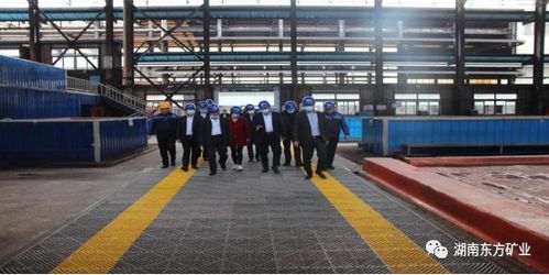 全國(guó)電解金屬錳創(chuàng)新聯(lián)盟成員單位參觀湖南東方礦業(yè)，共探金屬礦批發(fā)新機(jī)遇